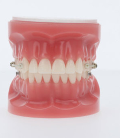 PowerBar® - Class II Corrector